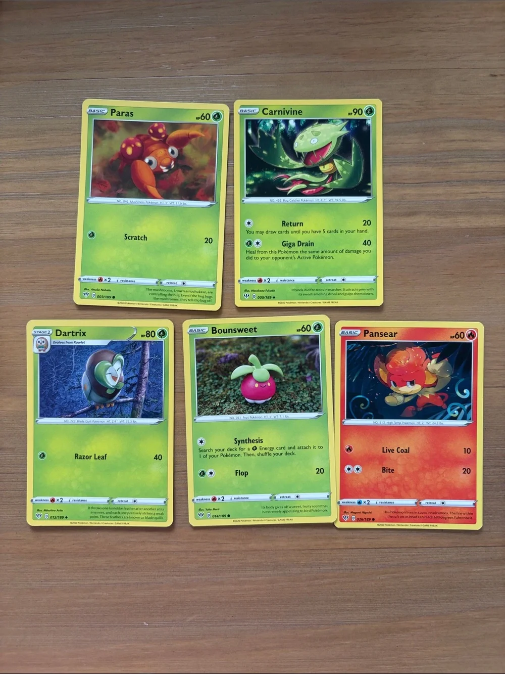 Darkness Ablaze Lot | 23 Unique Cards | Binder Starter Collection | ✨5/$25✨